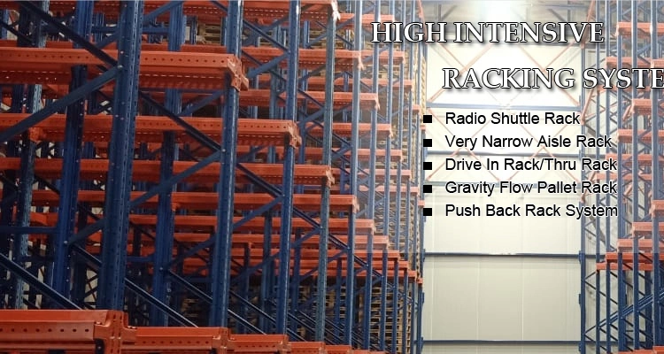 Steel Professional Drive-in Racking Ebilmetal Drive Through Racking